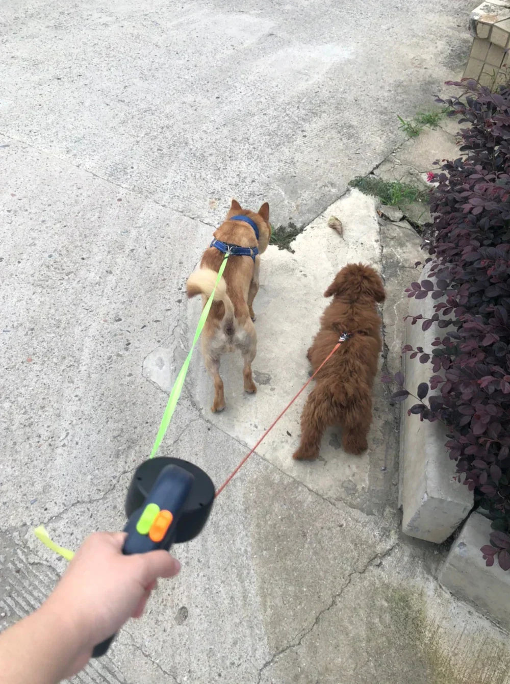 Heavy-Duty Retractable Dog Leash โ Tangle-Free & Durable